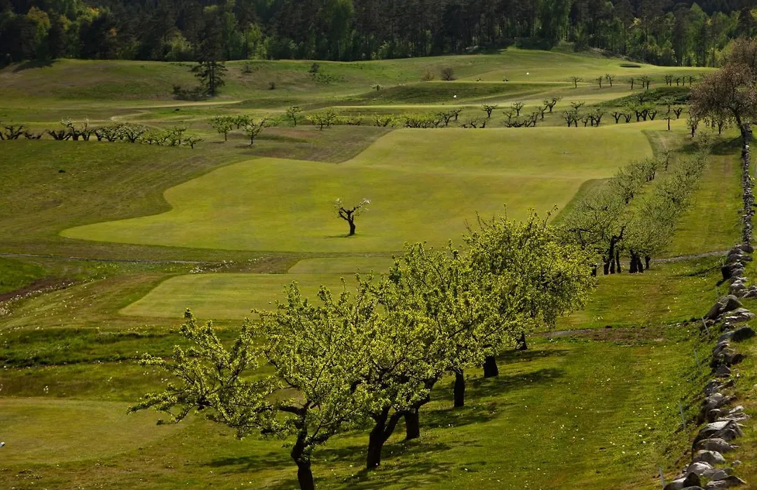 Oesterlens Golfklubb - Lilla Vik-1